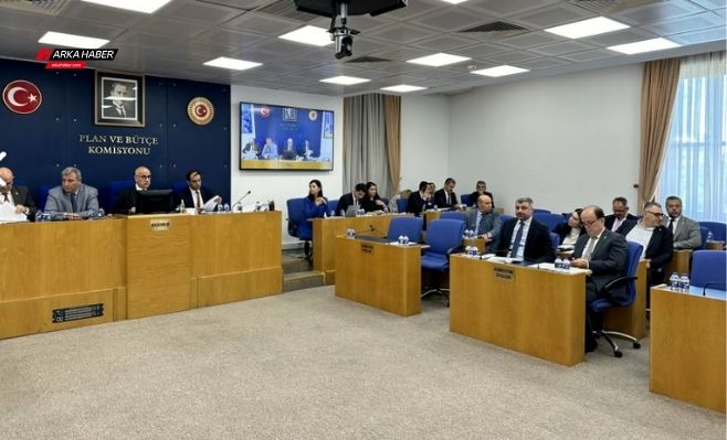 AKP'nin sokak hayvanlarına ilişkin "Ötanazi" ibaresinin tekliften çıkarılması için verdiği önerge kabul edildi 